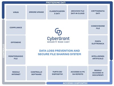 Gioco delloca_soluzioni CyberGrant