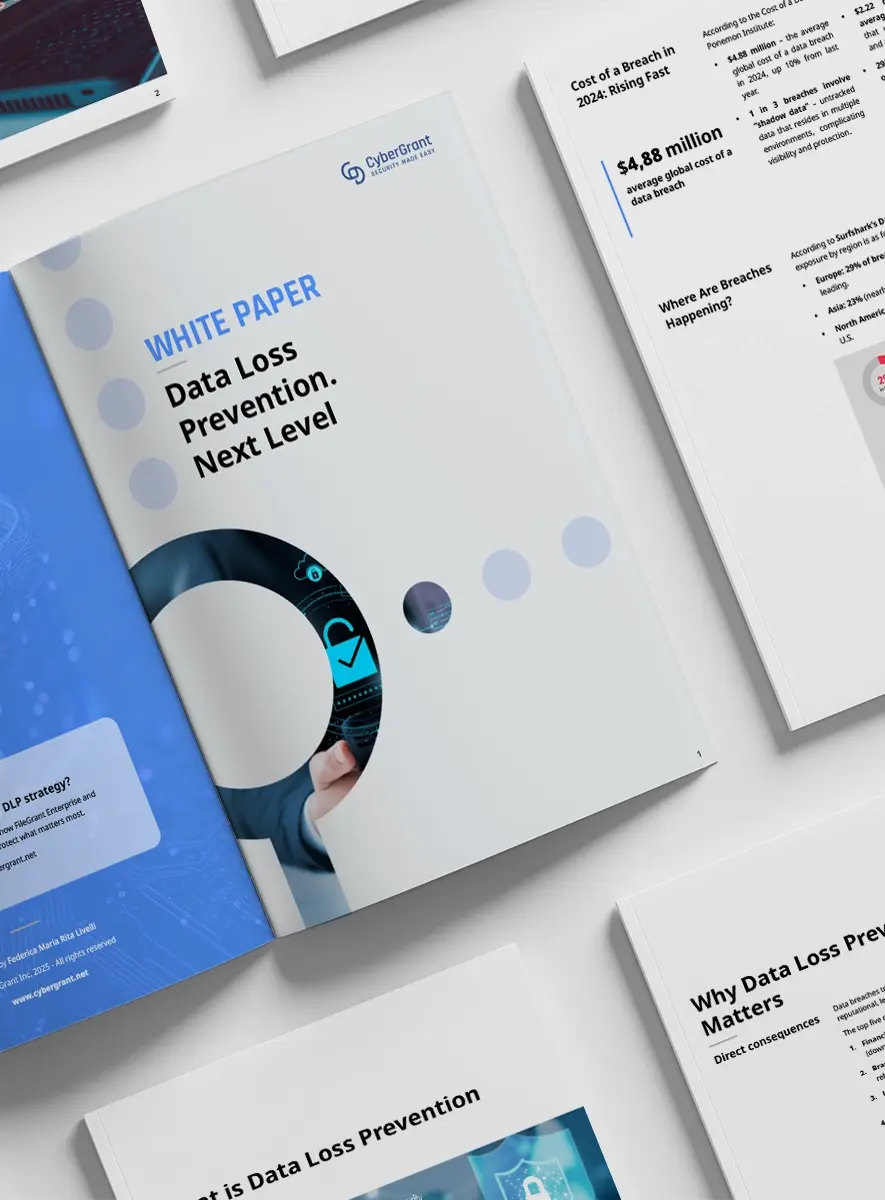 Anteprima_pdf_WP_DLP_eng